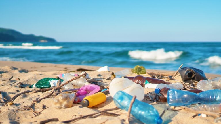 ban-on-disposable-plastics