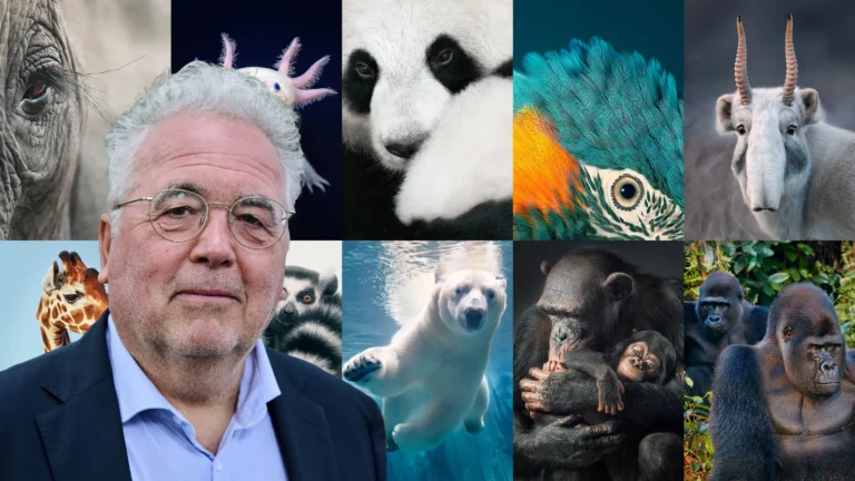 Koffeman uit Partij voor de Dieren.